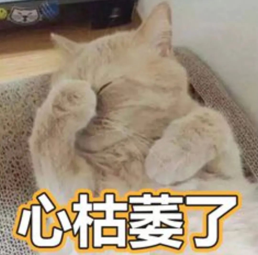 DƬ